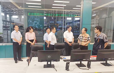 濟(jì)寧市市長林紅玉一行來中稀天馬參觀考察